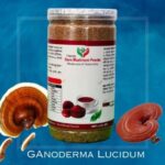 Ganoderma lucidum-1 (2)